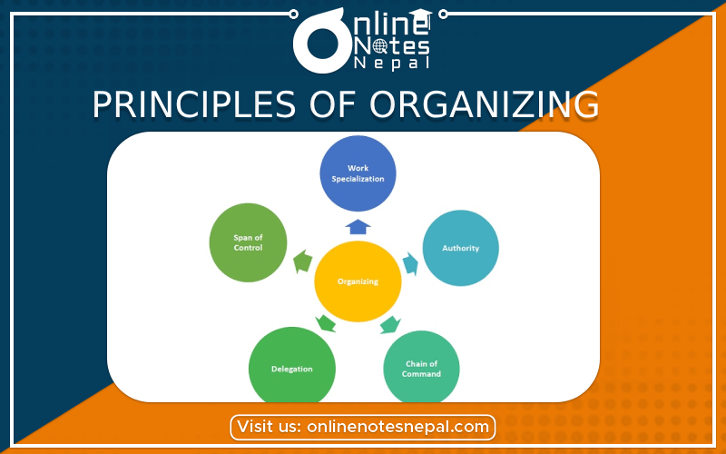 Principles of Organizing Photo